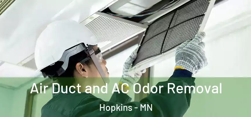  Air Duct and AC Odor Removal Hopkins - MN