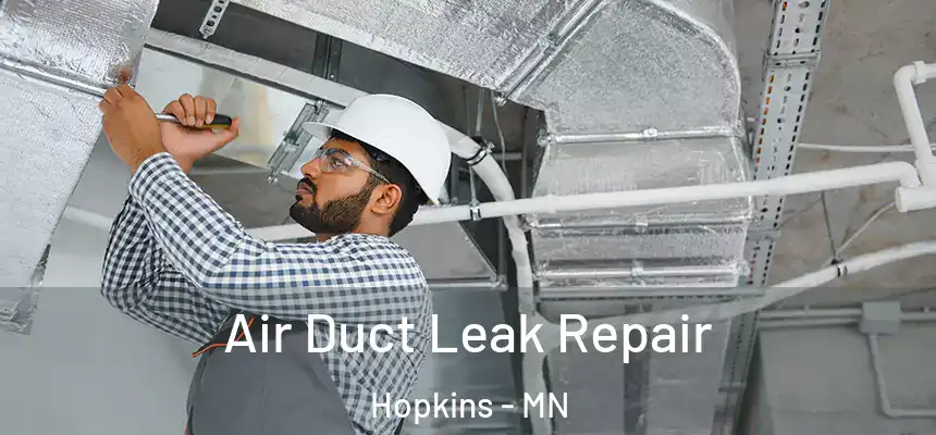  Air Duct Leak Repair Hopkins - MN