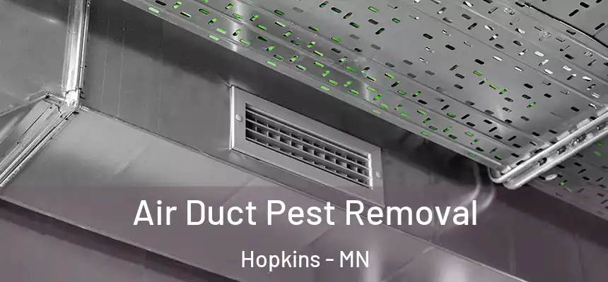  Air Duct Pest Removal Hopkins - MN