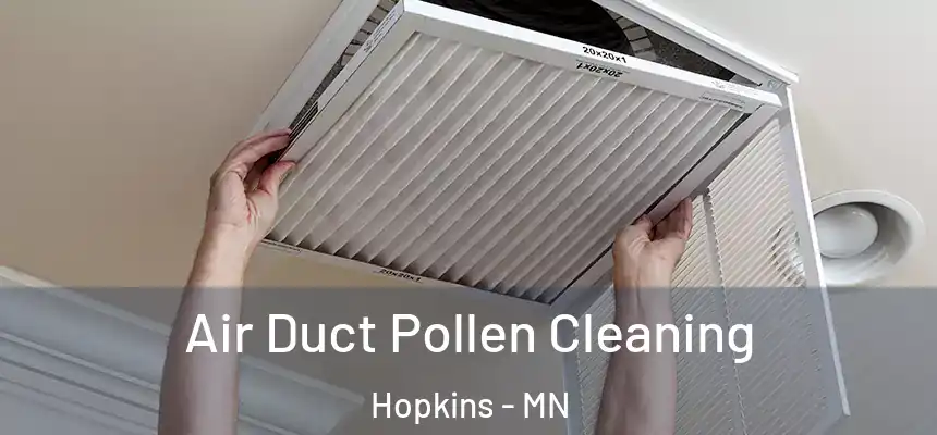 Air Duct Pollen Cleaning Hopkins - MN