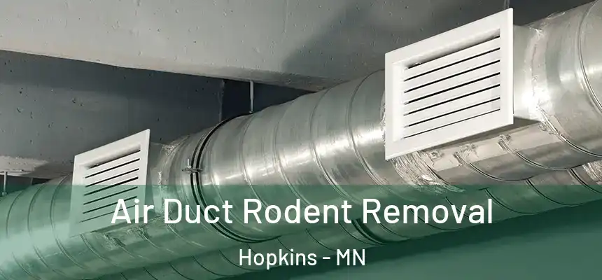  Air Duct Rodent Removal Hopkins - MN
