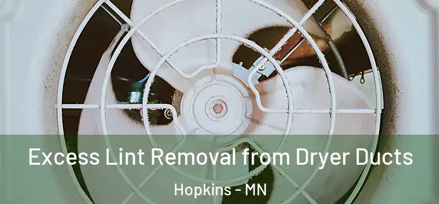  Excess Lint Removal from Dryer Ducts Hopkins - MN