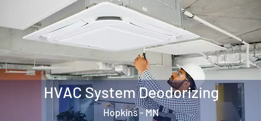  HVAC System Deodorizing Hopkins - MN