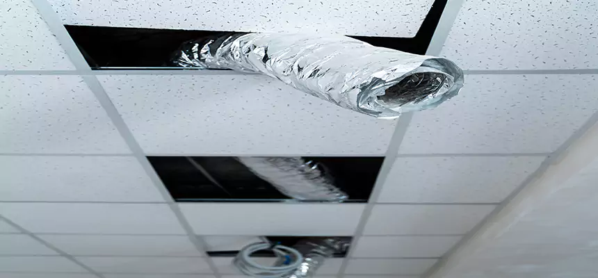 Our Air Duct Pet Hair Removal Services in Hopkins, MN