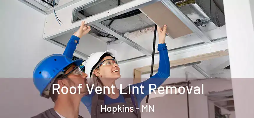  Roof Vent Lint Removal Hopkins - MN