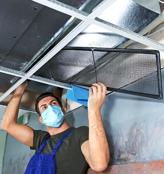 About Air Duct Bacteria Removal in Hopkins