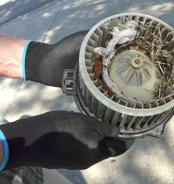 About Air Duct Rat Removal in Hopkins, MN