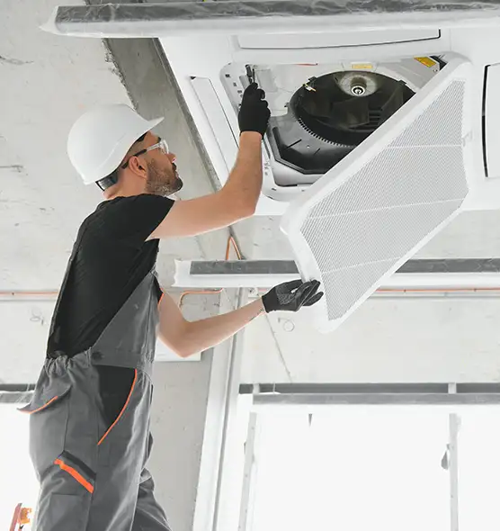 About Air Duct Rodent Removal in Hopkins, MN