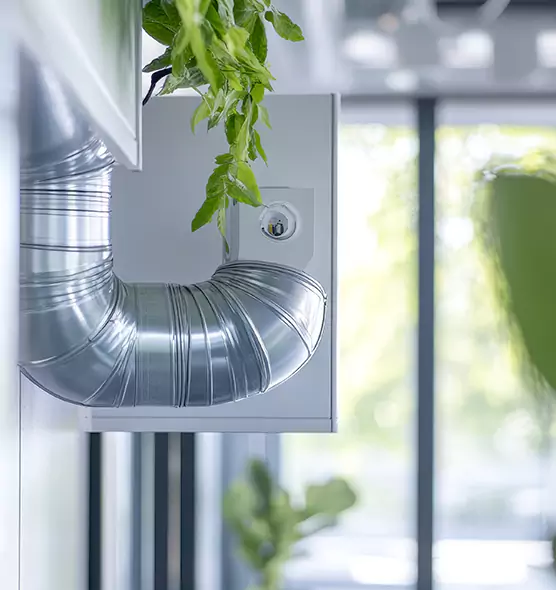 Professional Eco-Safe Dryer Vent Cleaning in Hopkins, MN