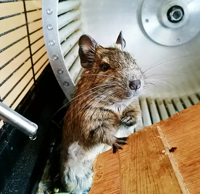 Why Homeowners & Businesses Trust Us Hopkins, MN