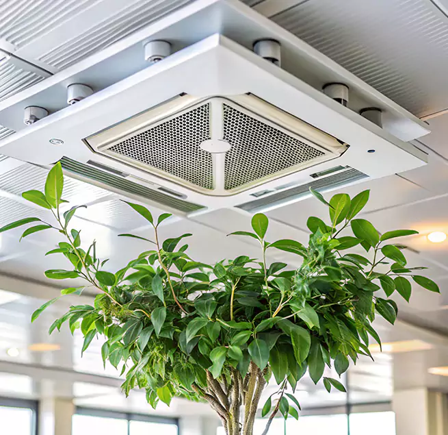 Why Homeowners & Businesses Trust Us in Hopkins, MN