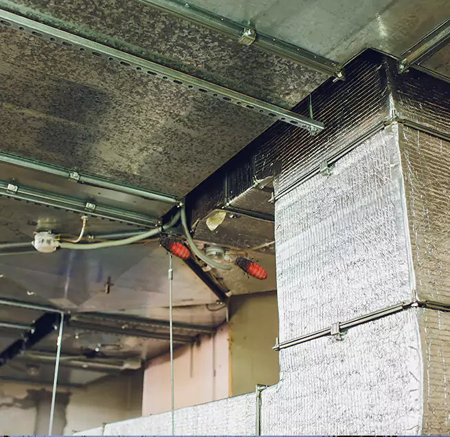 Why Homeowners & Businesses Trust Us Hopkins, MN?