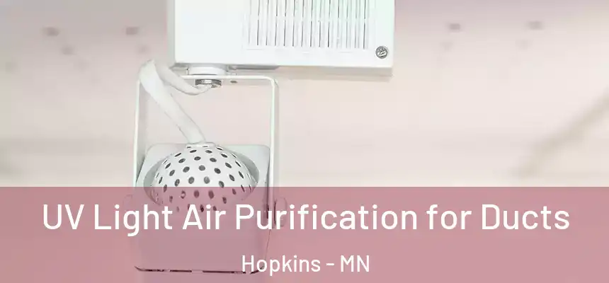  UV Light Air Purification for Ducts Hopkins - MN